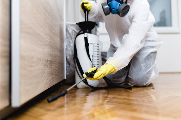 Best Ant Control Services  in Leesburg, VA