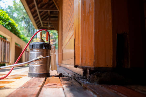 Best Affordable Pest Control Services  in Leesburg, VA